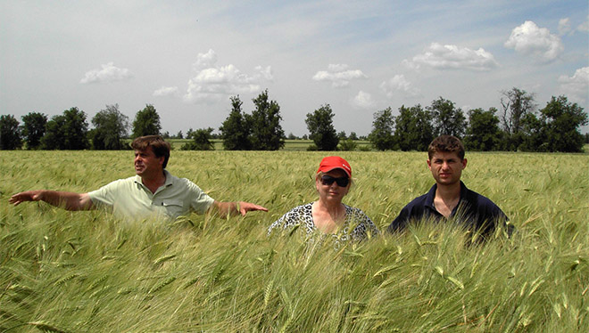 alt_Fotografia zilei – 26 iulie 2019: orz de toamnă