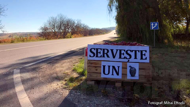 alt_Un pomicultor din Soroca invită călătorii să guste gratis mere din livada sa