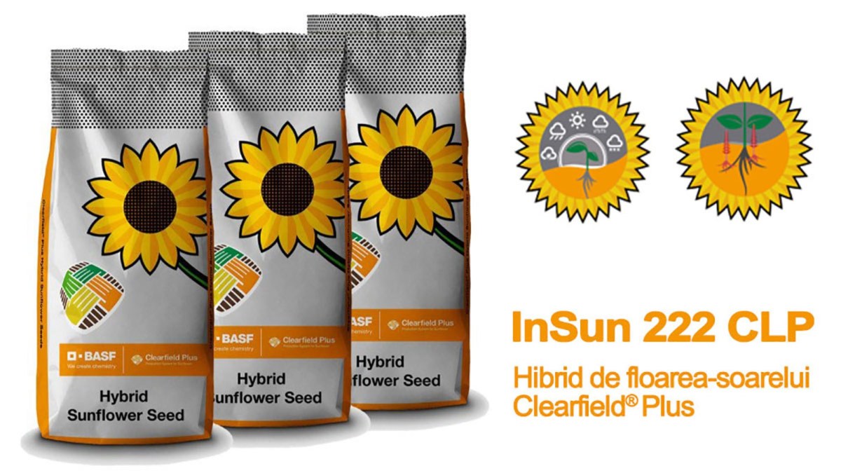 alt_InSun 222 CLP - Hibrid de floarea-soarelui semitardiv Clearfield® Plus cu o producție ridicată și stabilă