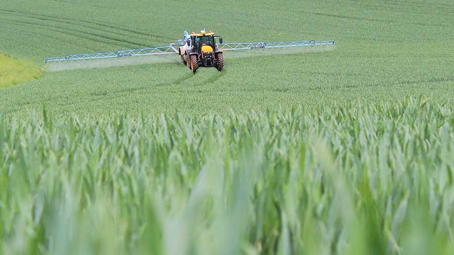 alt_Agricultura fără pesticide: costuri mai mari cu 153% la mere, 80% - la grâu și cu 121% - la porumb