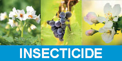 alt_Lista insecticidelor propuse de compania Sanctum AG