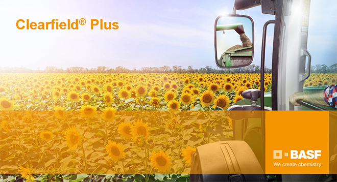 alt_Clearfield Plus – самая инновационная технология выращивания подсолнечника