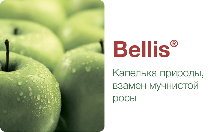 alt_Bellis® - описание и характеристика продукта